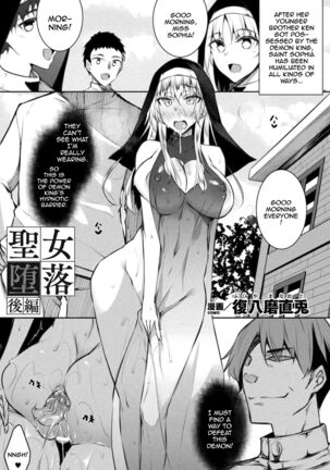 Seijo Daraku | Fallen Holy Woman - Page 17