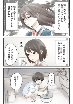 僕の大好きな姉がなんであんなヤツに…… - Page 5