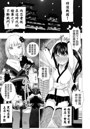 Oshinobi Shoujo no Asobikata Page #4