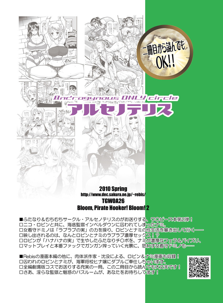Midarezaki Joshuu Kaizoku 2 -Robin to Nami no Love Love Mitsu Shibori hen-