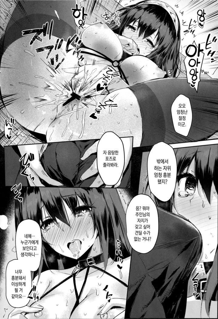 Sagisawa Fumika no Tashinami | 사기사와 후미카의 행실
