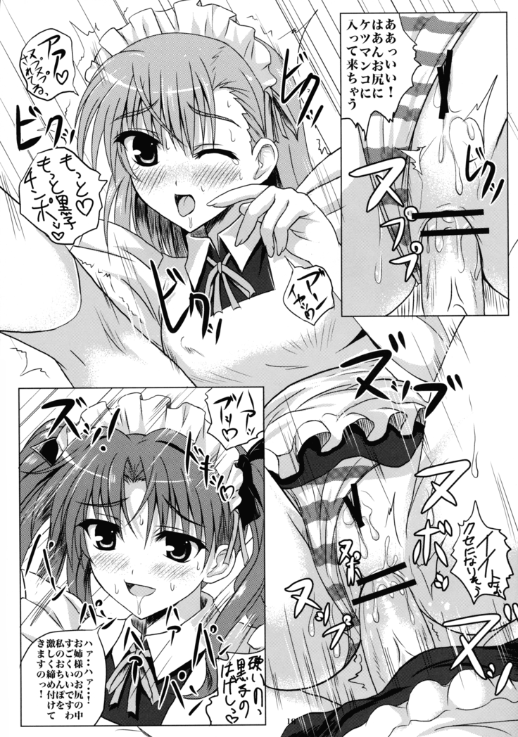 Toaru Biyaku no Chou Saiinzai 2