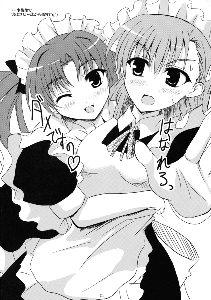 Toaru Biyaku no Chou Saiinzai 2