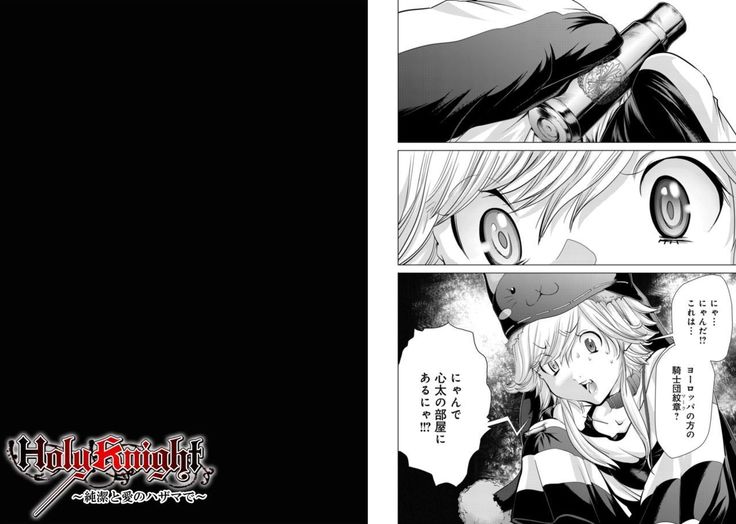 Holy Knight ~Junketsu to Ai no Hazama de~ Vol. 8