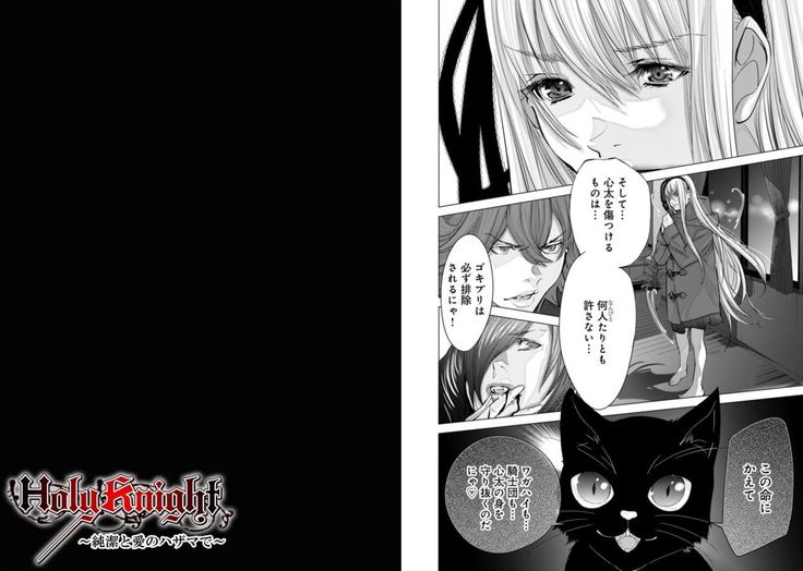 Holy Knight ~Junketsu to Ai no Hazama de~ Vol. 8