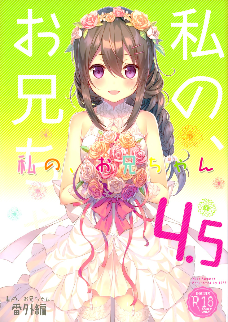 Watashi no, Onii-chan 4.5 Bangaihen