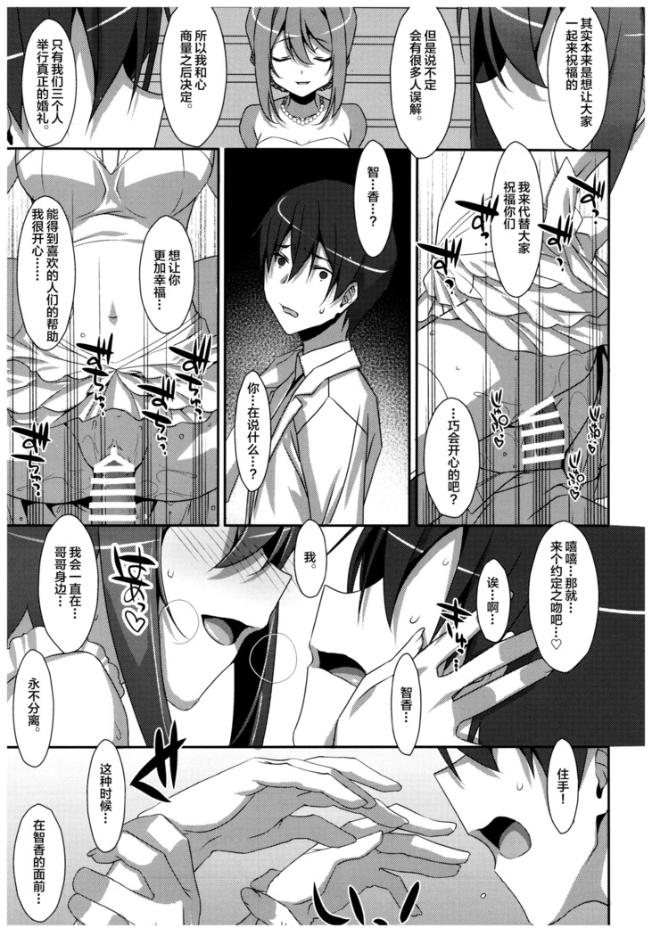Watashi no, Onii-chan 4.5 Bangaihen