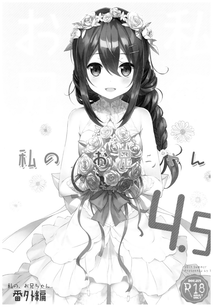 Watashi no, Onii-chan 4.5 Bangaihen