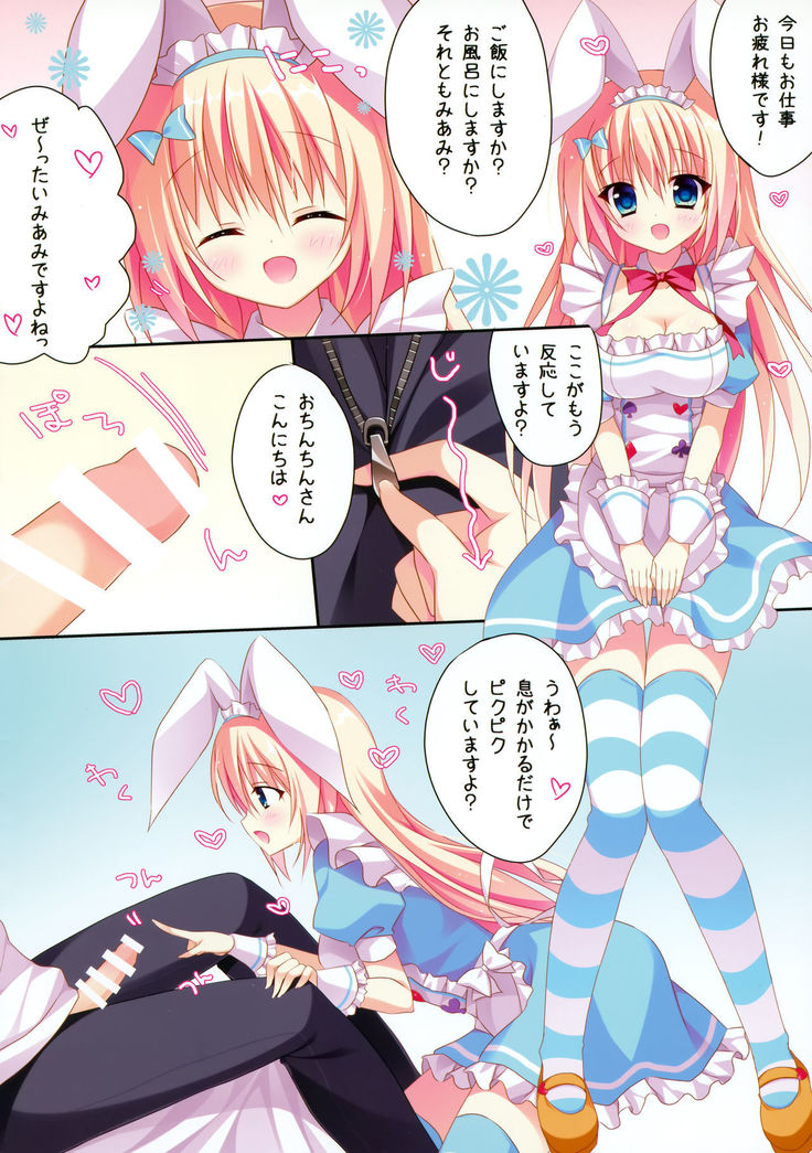 Miami to Ecchi
