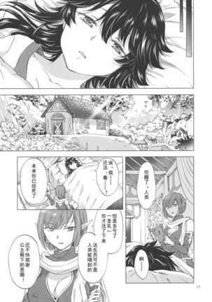 Seinaru Chichi no Elf Hime Page #15