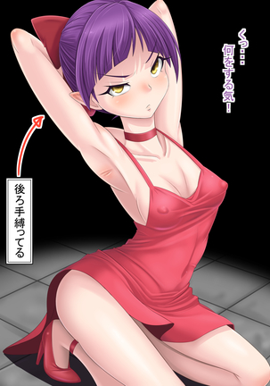 Neko no CG Shuu Page #77