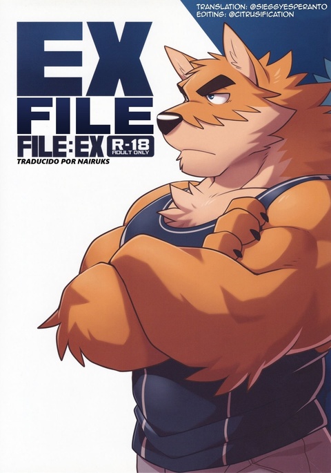 Ex-File