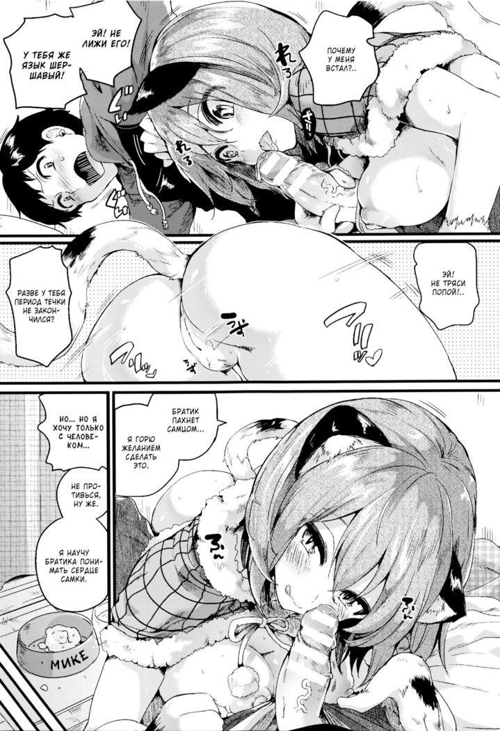 Futatabi! Nyanko na Hatsujouki | Снова! Период течки у Ньянко!