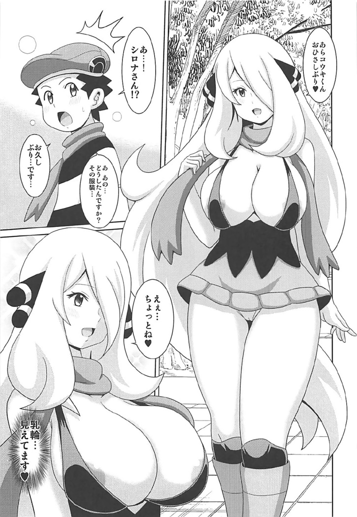 Pokeburu D