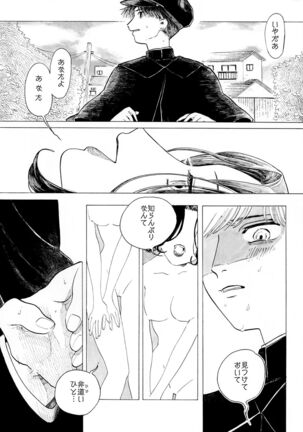 Warau Camellia Page #4