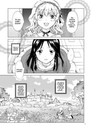 Hime-sama to Dorei-chan | The Princess and the Slave  {NecroManCr} Page #2