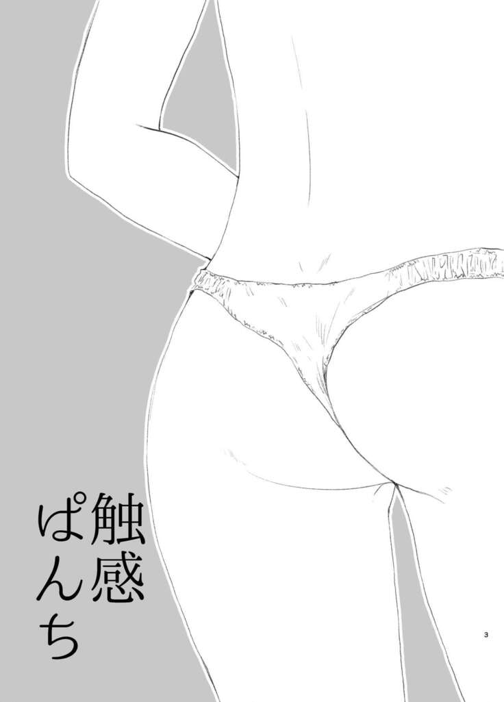 Shokkan Panchi