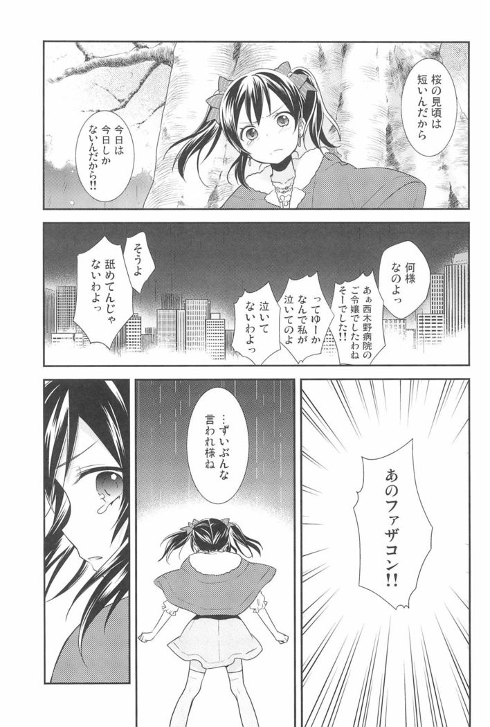NICO & MAKI COLLECTION 3