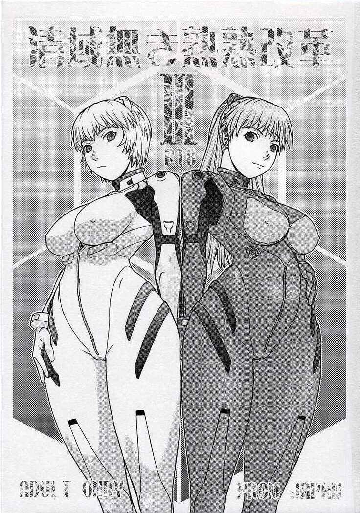 Seiekinaki Jukujuku Kaikaku III
