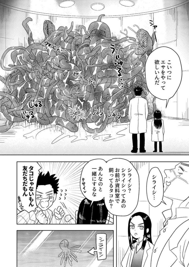 Ripa Sugi Abu No Maru Pureibukku