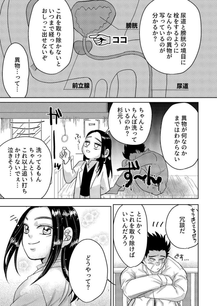 Ripa Sugi Abu No Maru Pureibukku