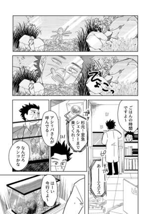 Image 9842540