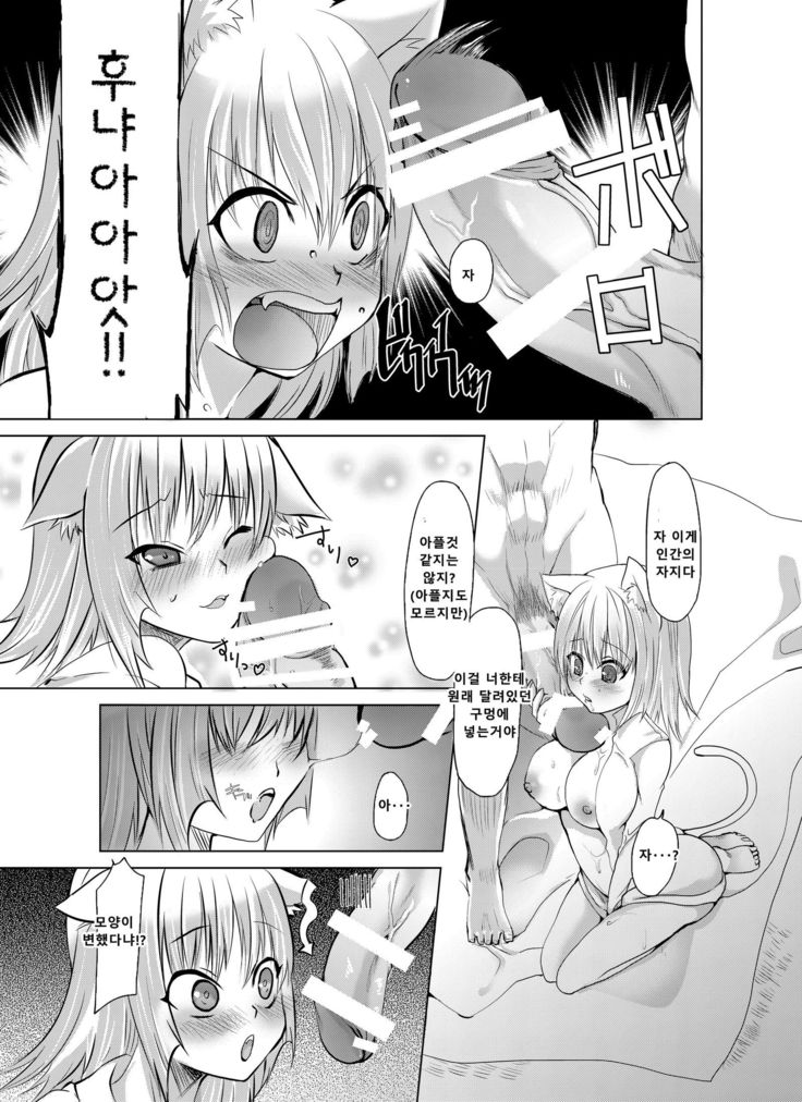Nyan Nyan Biyori