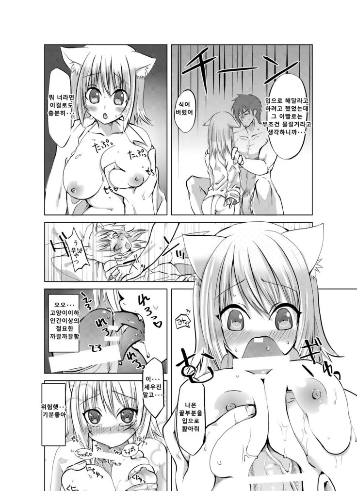 Nyan Nyan Biyori