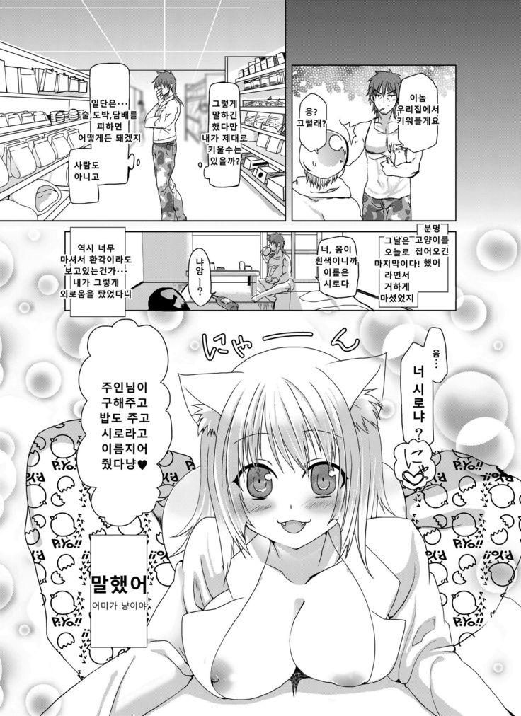 Nyan Nyan Biyori