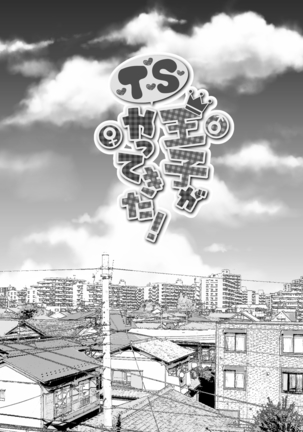 TS Ouji ga Yattekita! Page #40