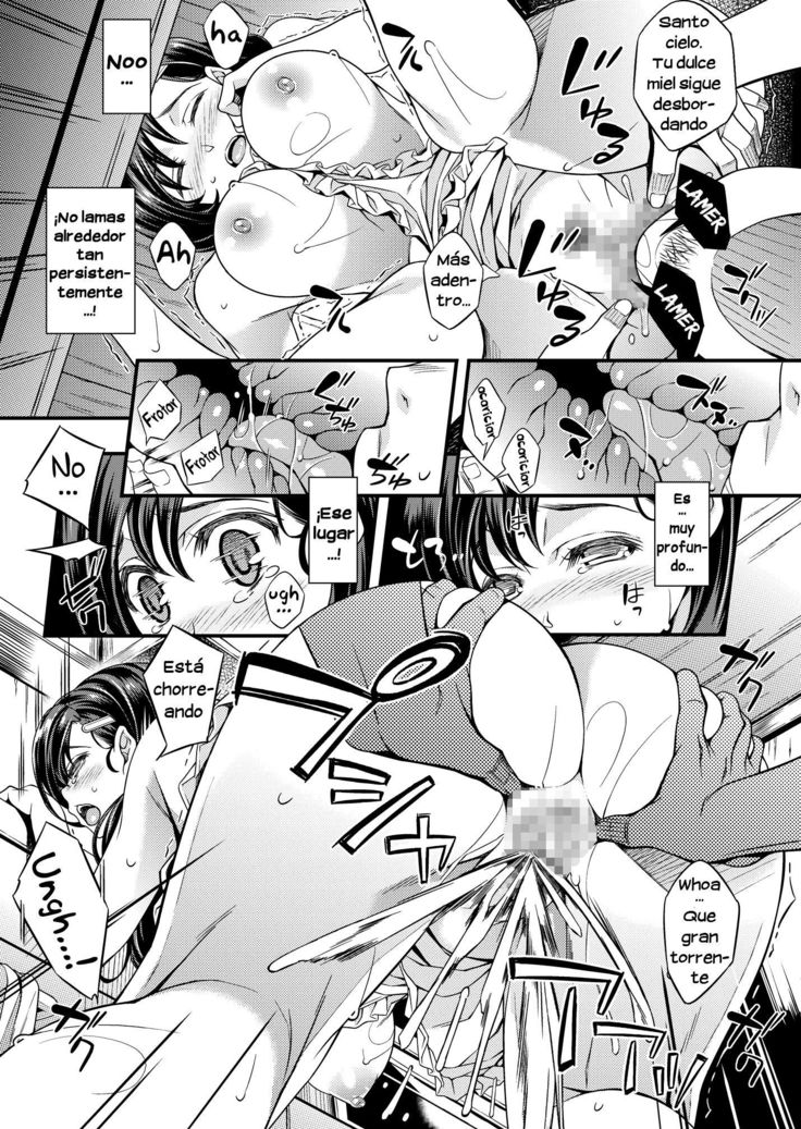 Sagurare Otome -plus-