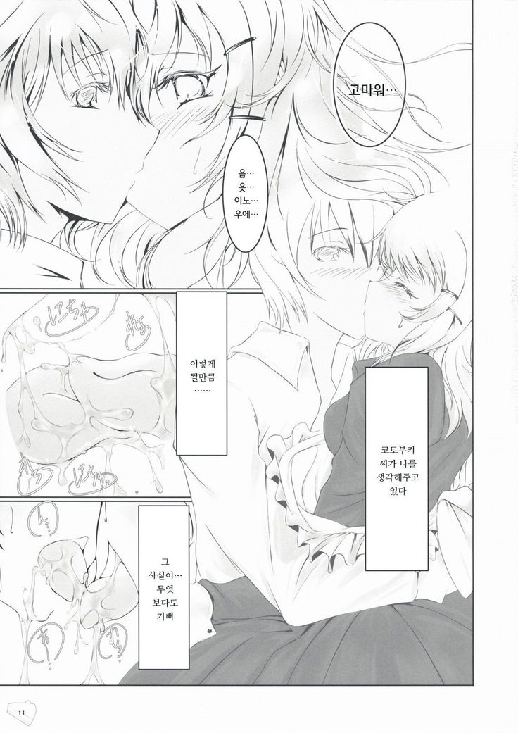 暴走少女と愚鈍な恋人