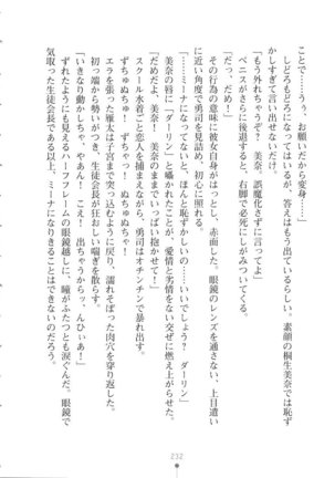 Netgame no Yome ga Seitokaichou Datta Ken ni Tsuite - Page 233