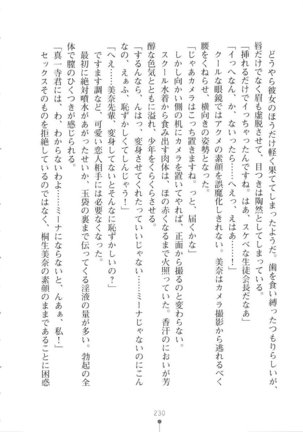 Netgame no Yome ga Seitokaichou Datta Ken ni Tsuite Page #231