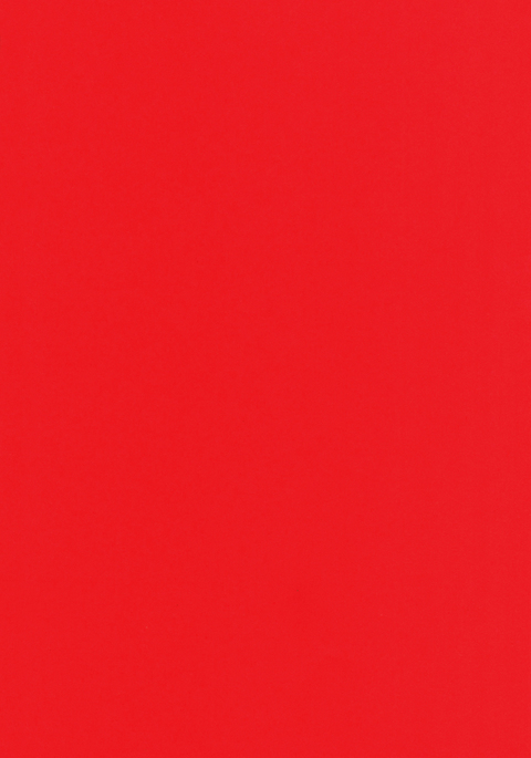 Image 4909251