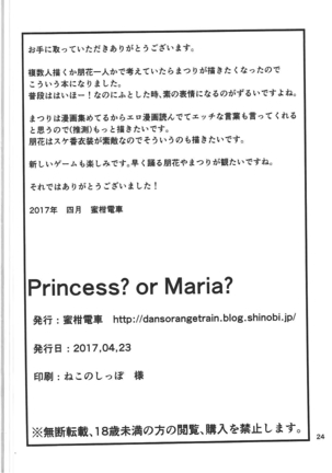 Princess? or Maria? - Page 25