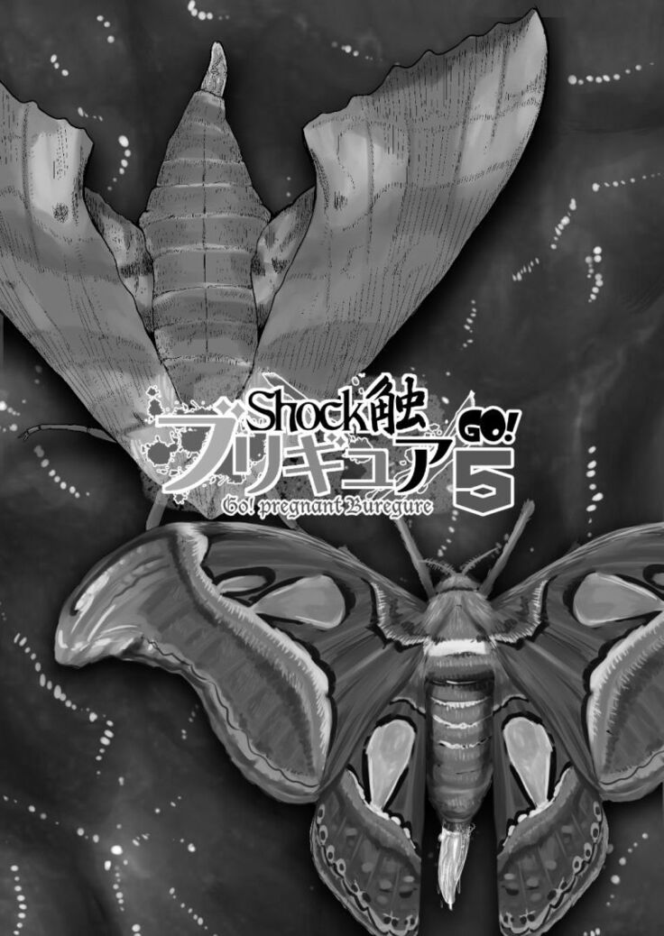 Shock Shoku BreGure 5