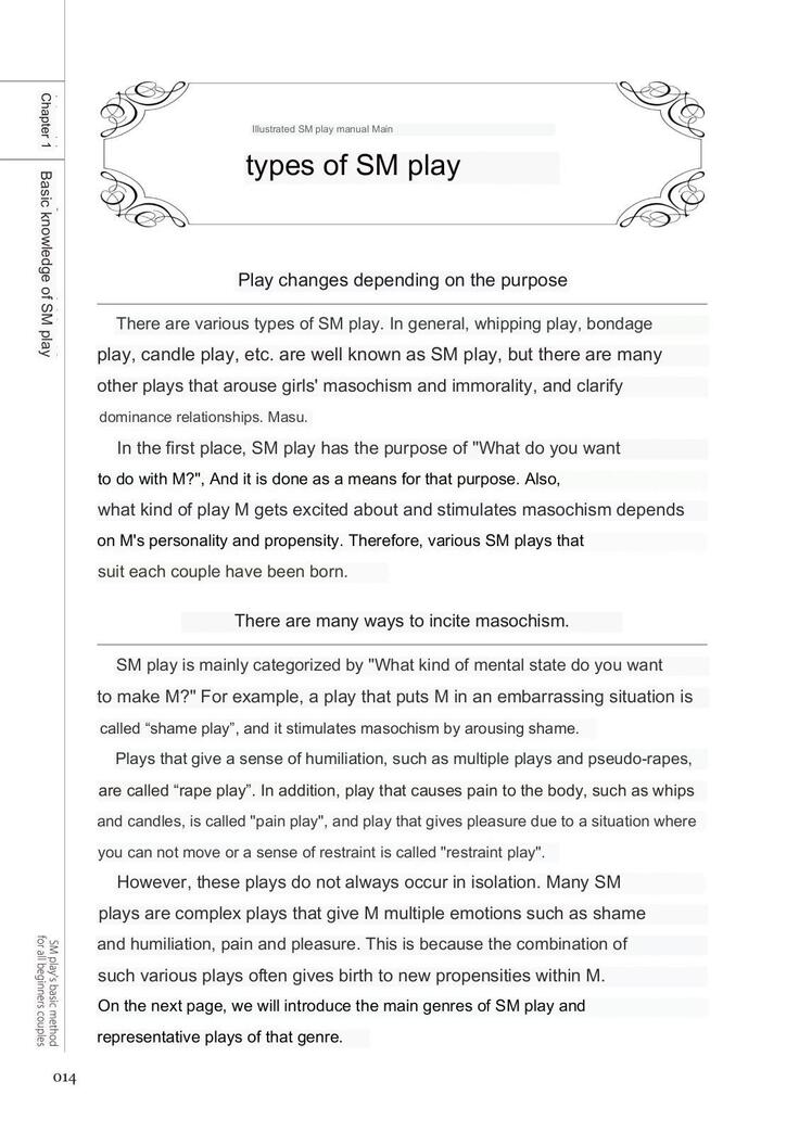 SM play manual