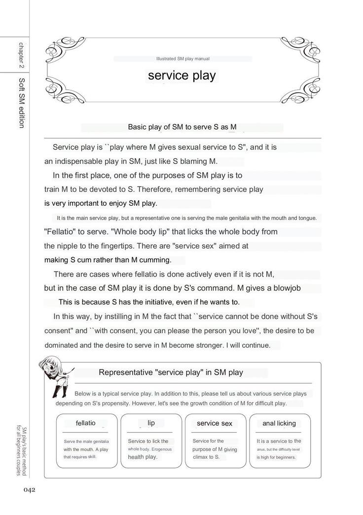 SM play manual