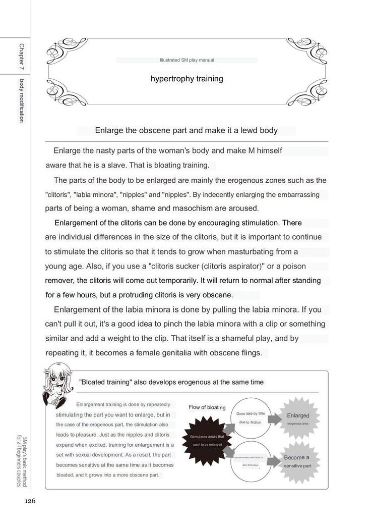SM play manual