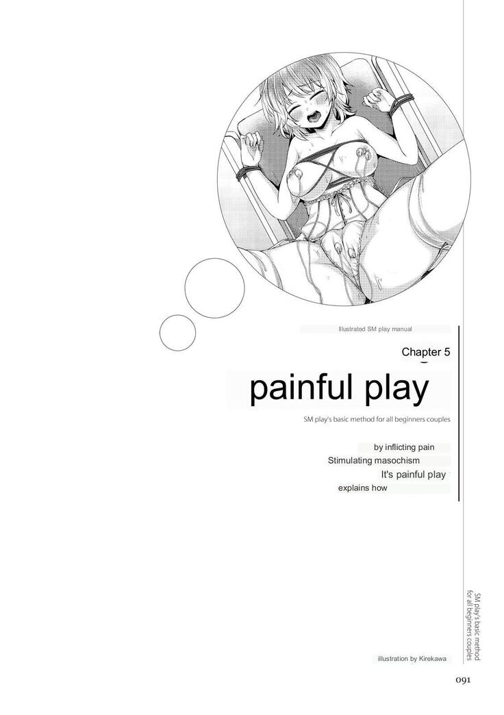 SM play manual