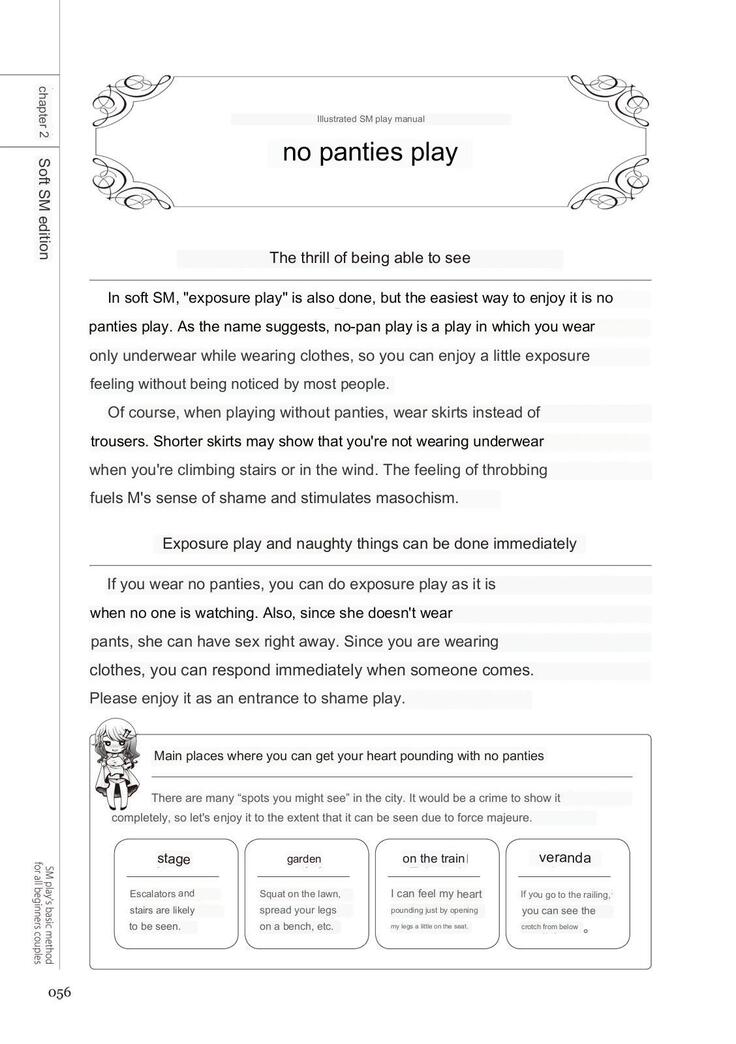 SM play manual