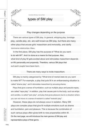 SM play manual - Page 12
