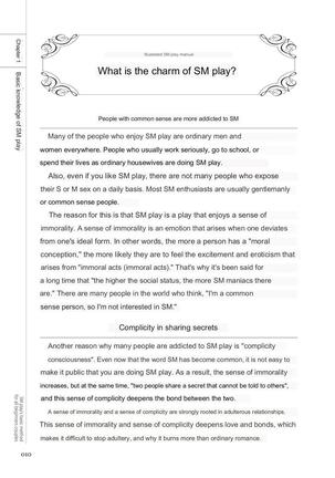 SM play manual - Page 8