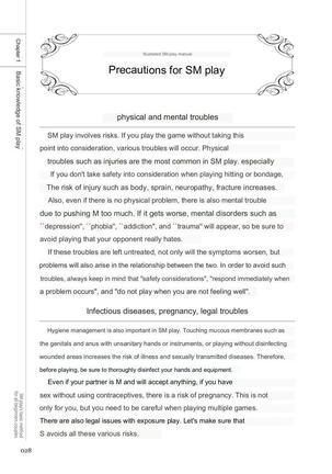 SM play manual - Page 26