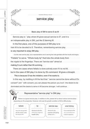 SM play manual Page #40