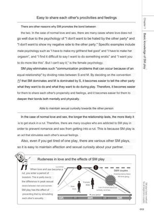 SM play manual - Page 9