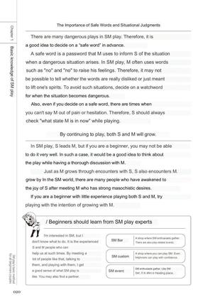 SM play manual - Page 18