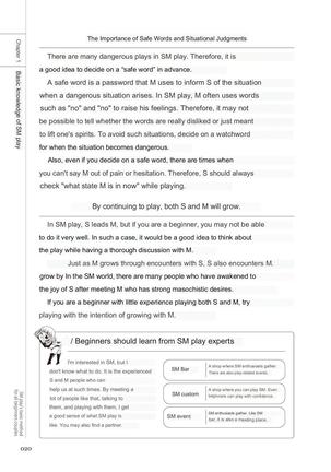 SM play manual Page #18