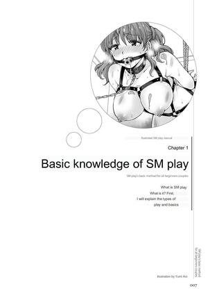 SM play manual